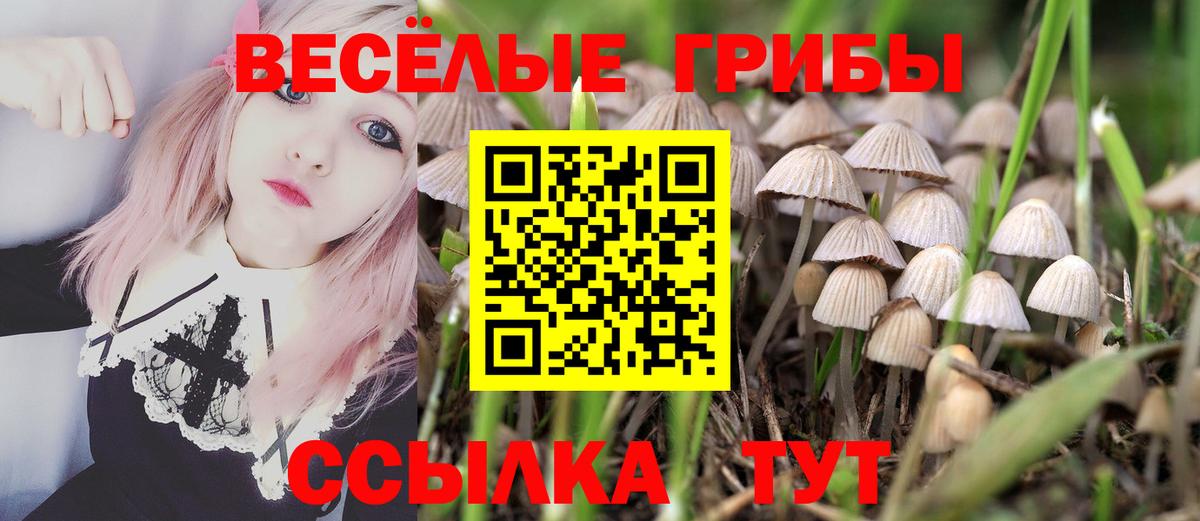 Псилоцибиновые грибы мухоморы  Вход с VPN  Озёрск 