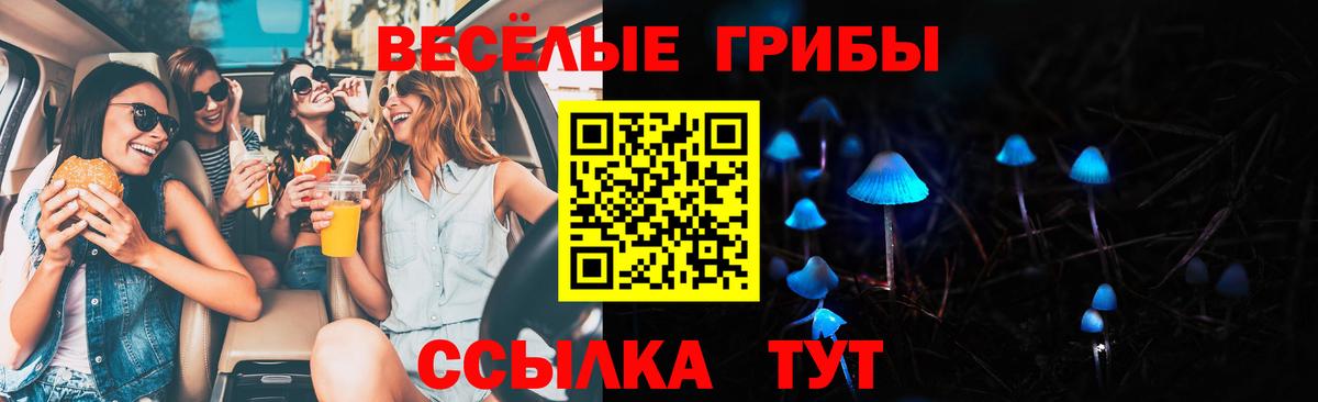 Псилоцибиновые грибы GOLDEN TEACHER Озёрск